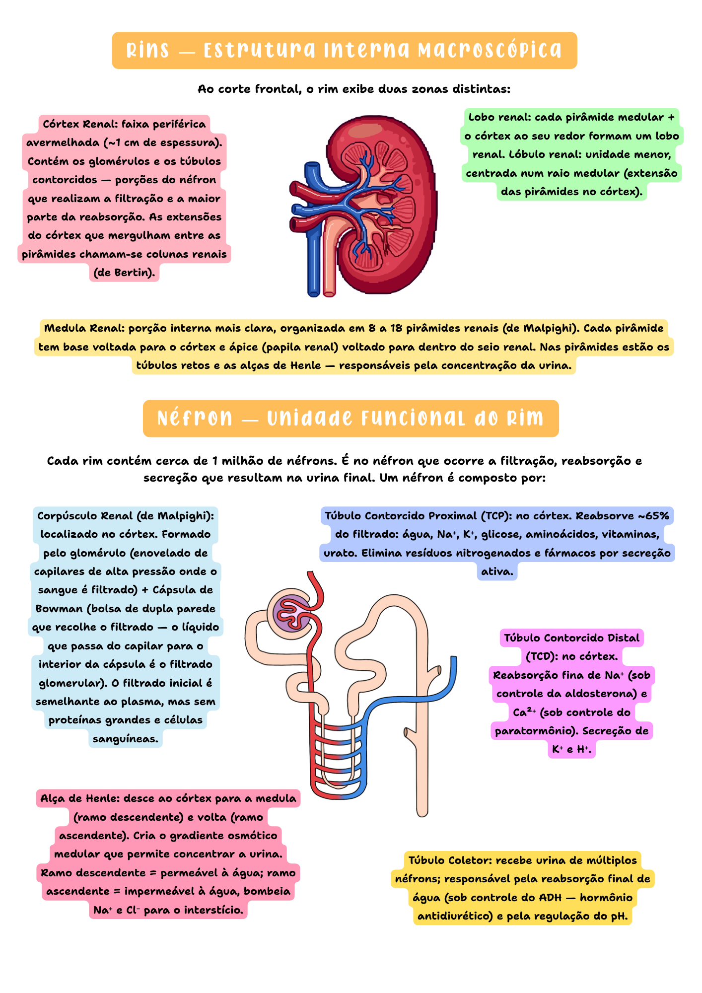 Página do resumo NutriEmResumos